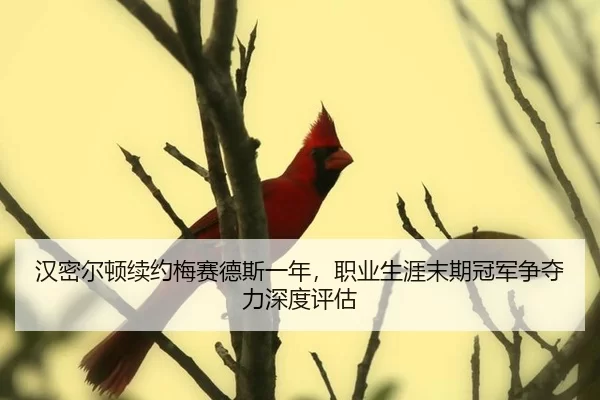 han-mi-er-dun-xu-yue-mei-sai-de-si-yi-nian-zhi-ye-sheng-ya-mo-qi-guan-jun-zheng-duo-li-shen-du-ping-gu-2-252.jpg